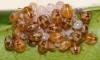 Dolycoris baccarum